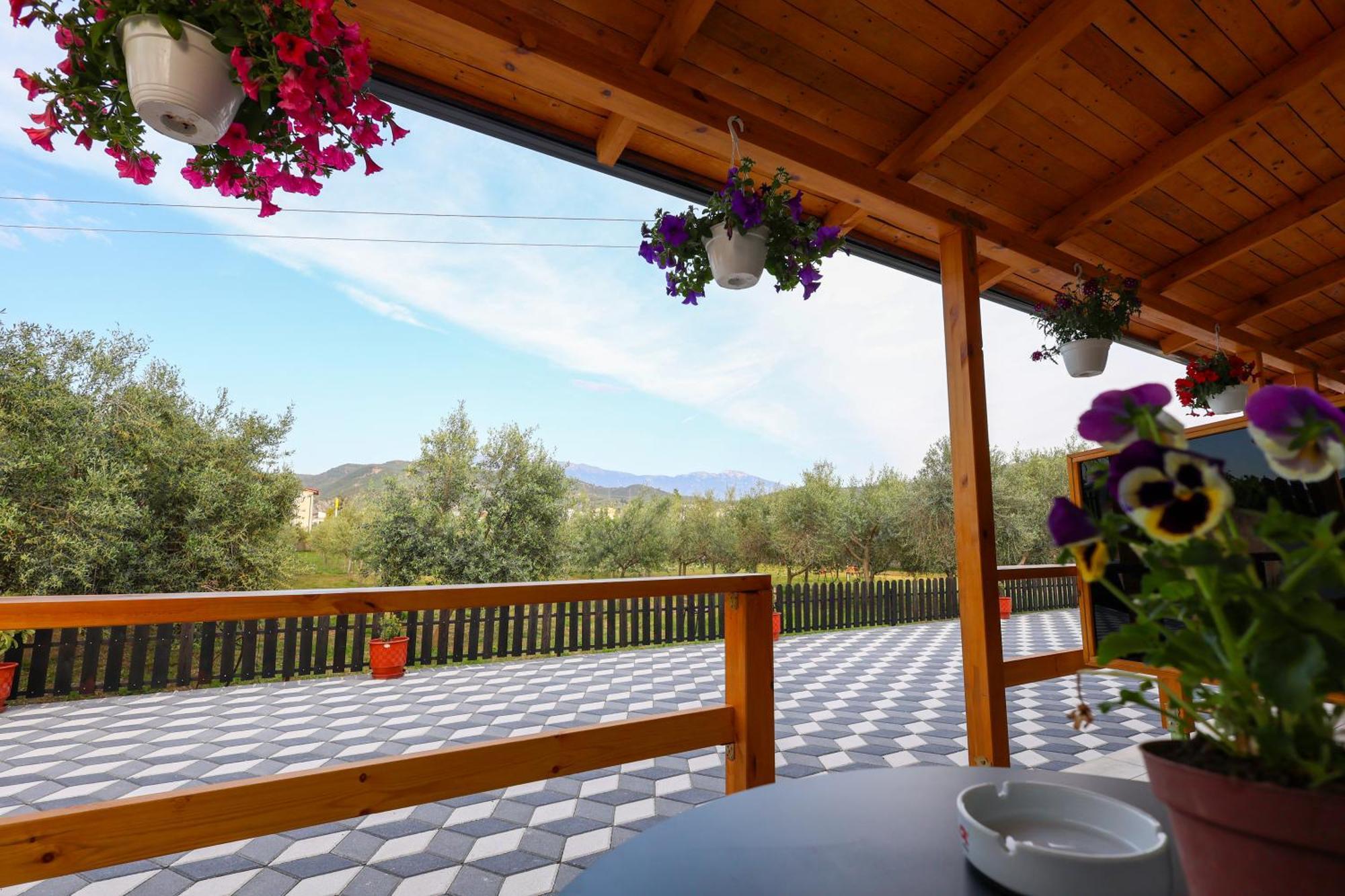 Olive Oasis Studio Berat Exteriér fotografie