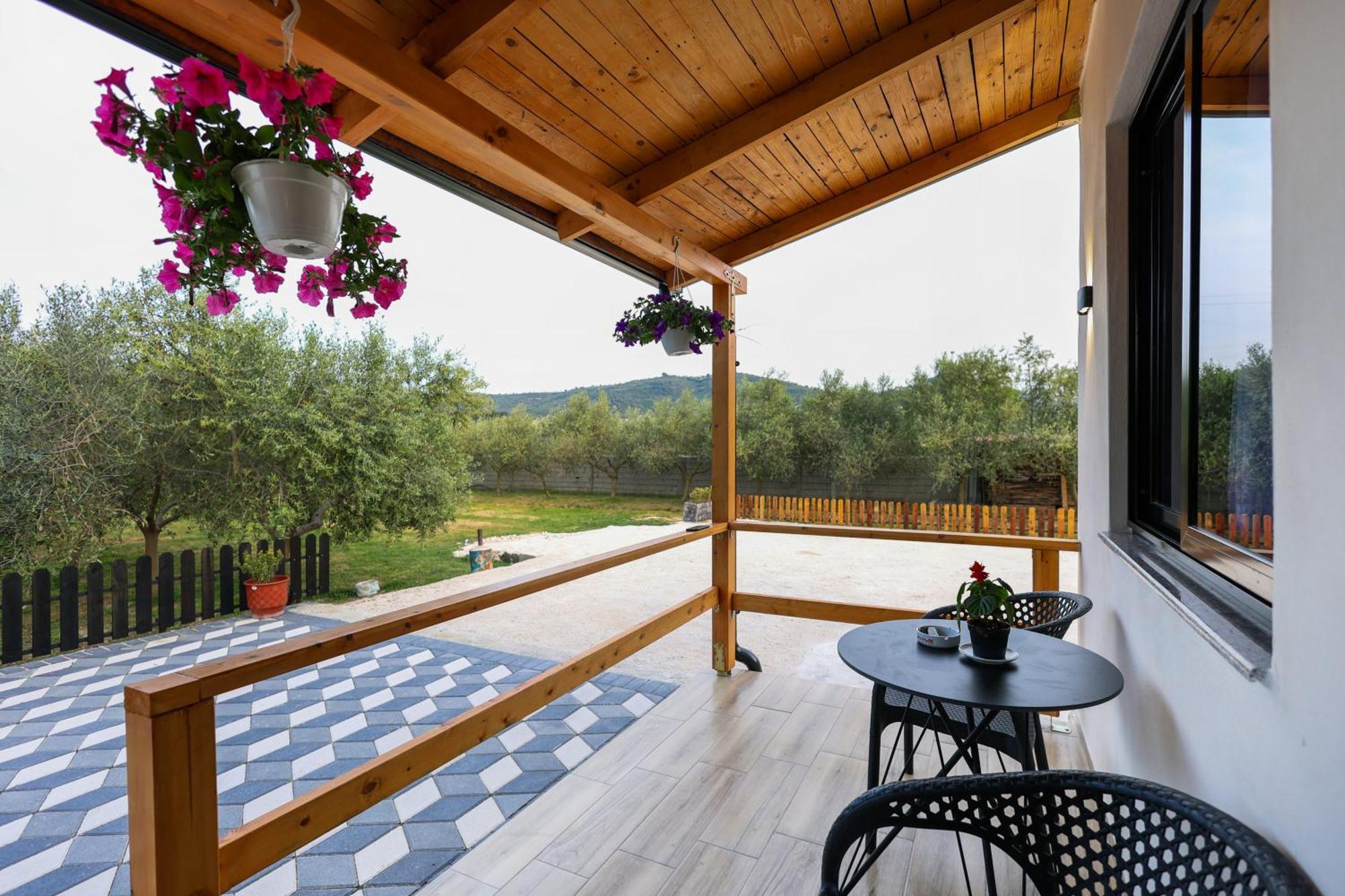 Olive Oasis Studio Berat Exteriér fotografie