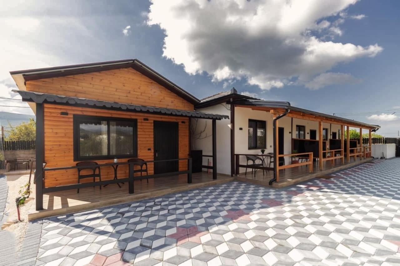 Olive Oasis Studio Berat Exteriér fotografie